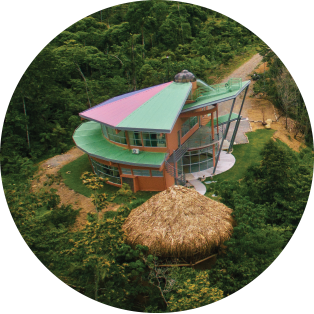 York’s EcoCampus in Las Nubes Forest